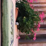 Tabarani