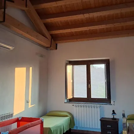 Tabarani Farm stay